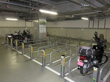 IMG_3374.jpg