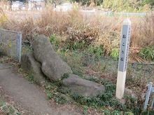 IMG_3383.jpg