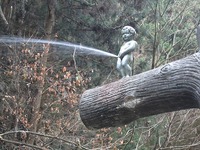 IMG_3388.jpg
