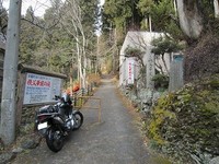 IMG_3397.jpg