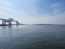 IMG_3398.jpg