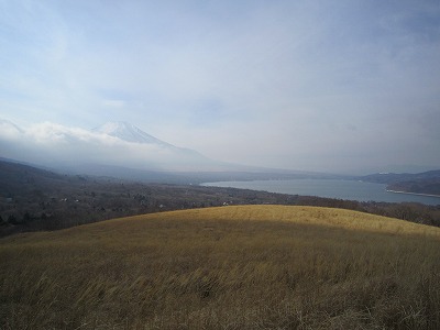 IMG_3505.jpg