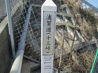 IMG_3619.jpg