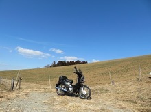 IMG_3626.jpg