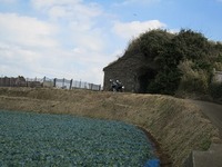IMG_3641.jpg