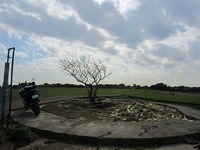 IMG_3645.jpg