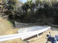 IMG_3658.jpg