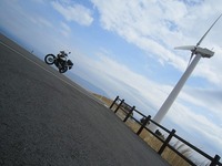 IMG_3682.jpg