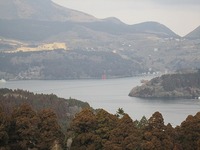 IMG_3725.jpg