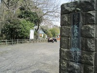 IMG_3857.jpg