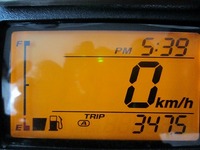 IMG_3881.jpg