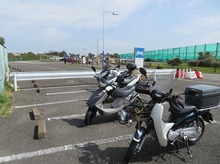 IMG_3899.jpg
