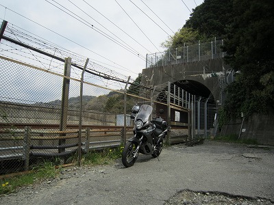 IMG_3900.jpg