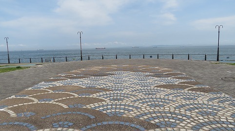 IMG_3901.jpg