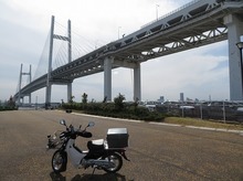 IMG_3904.jpg