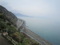 IMG_3910.jpg