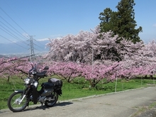 IMG_3911.jpg