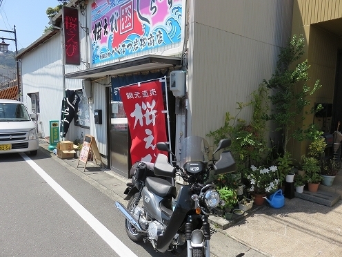 IMG_3919.jpg