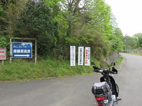 IMG_4015.jpg