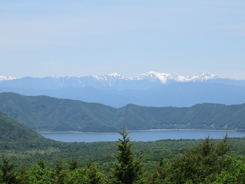 IMG_4068.jpg
