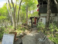IMG_4082.jpg