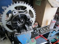 IMG_4296.jpg