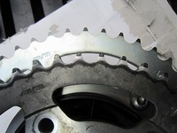 IMG_4300.jpg