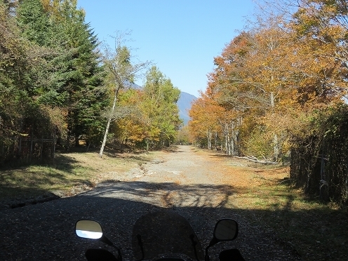 IMG_4394.jpg
