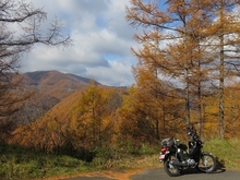 IMG_4421.jpg