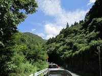 IMG_4461.jpg