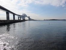IMG_4541.jpg