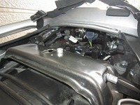 IMG_4553.jpg