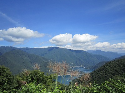 IMG_4573.jpg