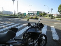 IMG_4595.jpg