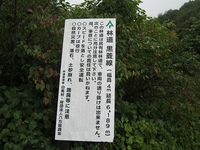IMG_4608.jpg