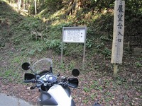 IMG_4727.jpg