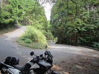 IMG_4743.jpg