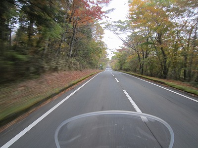IMG_4756.jpg