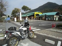 IMG_4769.jpg