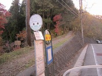 IMG_4798.jpg