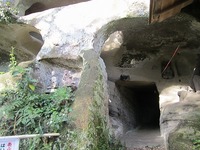 IMG_4826.jpg