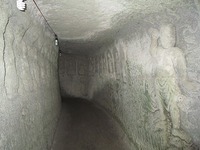 IMG_4831.jpg