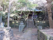 IMG_4842.jpg