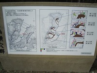 IMG_4856.jpg