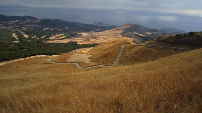 IMG_4968.jpg