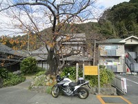 IMG_4975.jpg