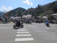 IMG_5038.jpg