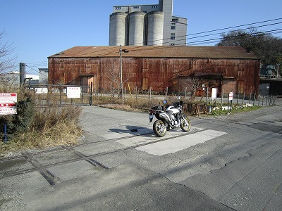 IMG_5067.jpg