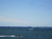IMG_5102.jpg
