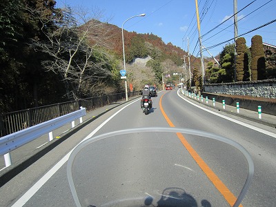 IMG_5254.jpg